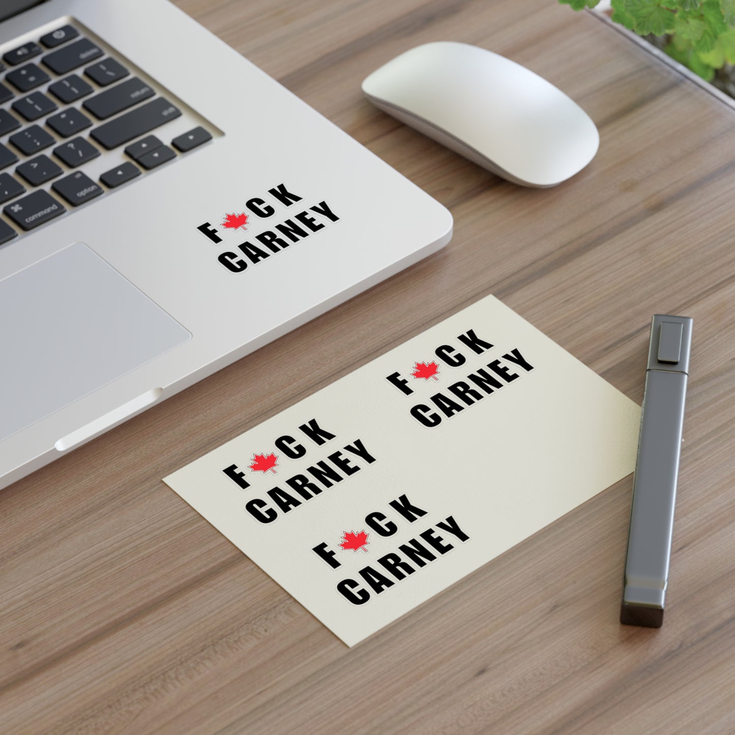 "Carney" Sticker 4-Pack