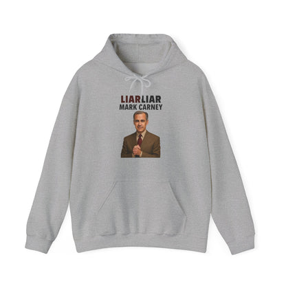 "Liar Liar" Hoodie