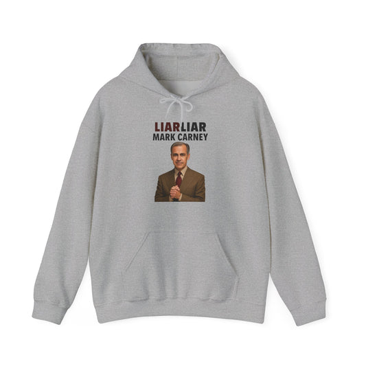 "Liar Liar" Hoodie