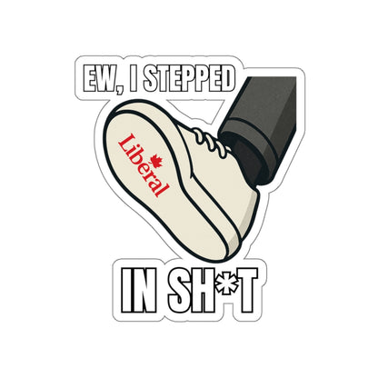 "I stepped in sh*t" Sticker